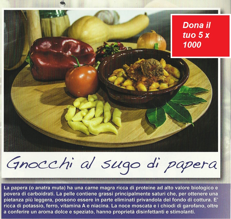 Gnocchi al sugo di papera